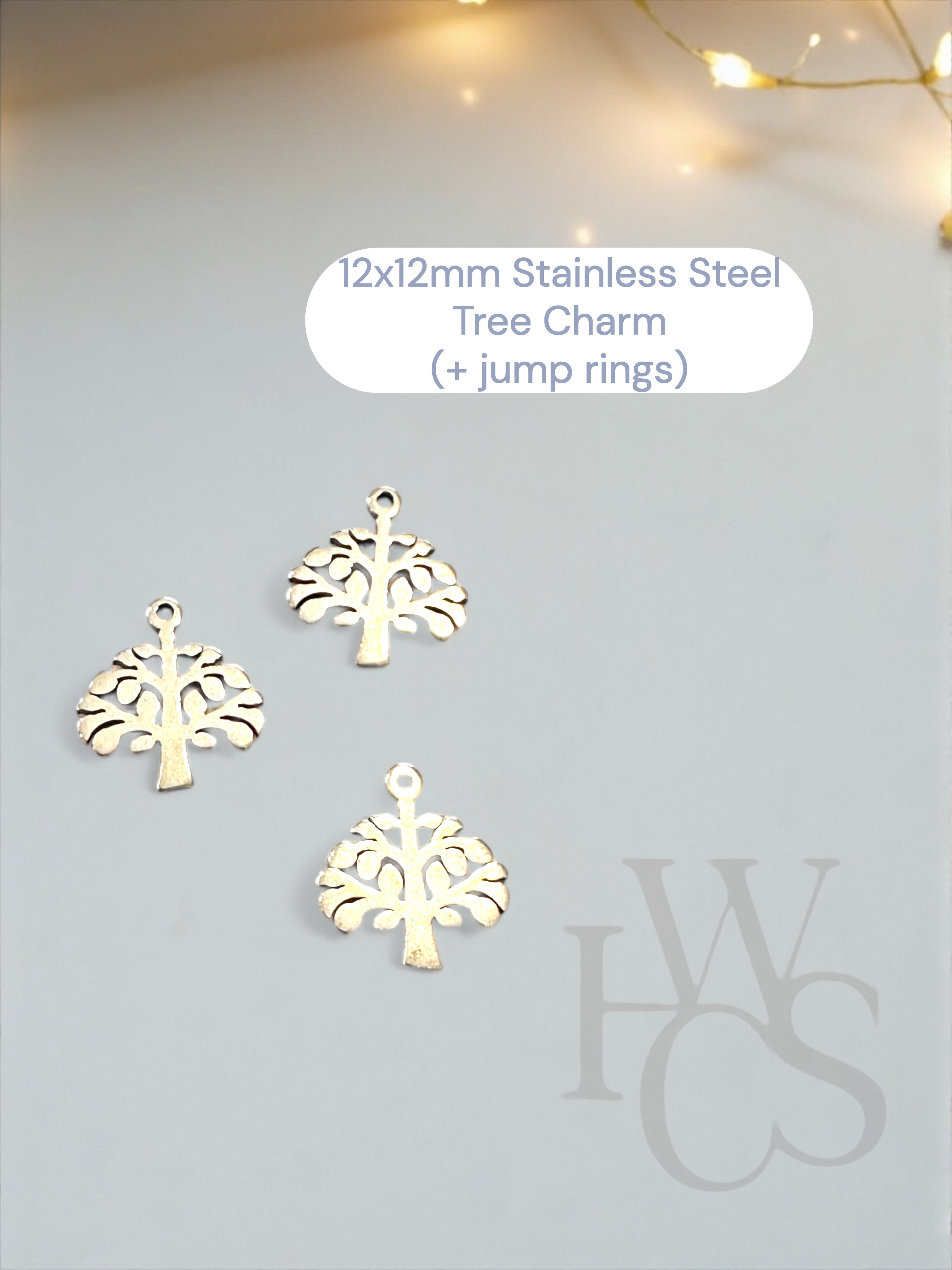 Optional Stainless Steel Charms