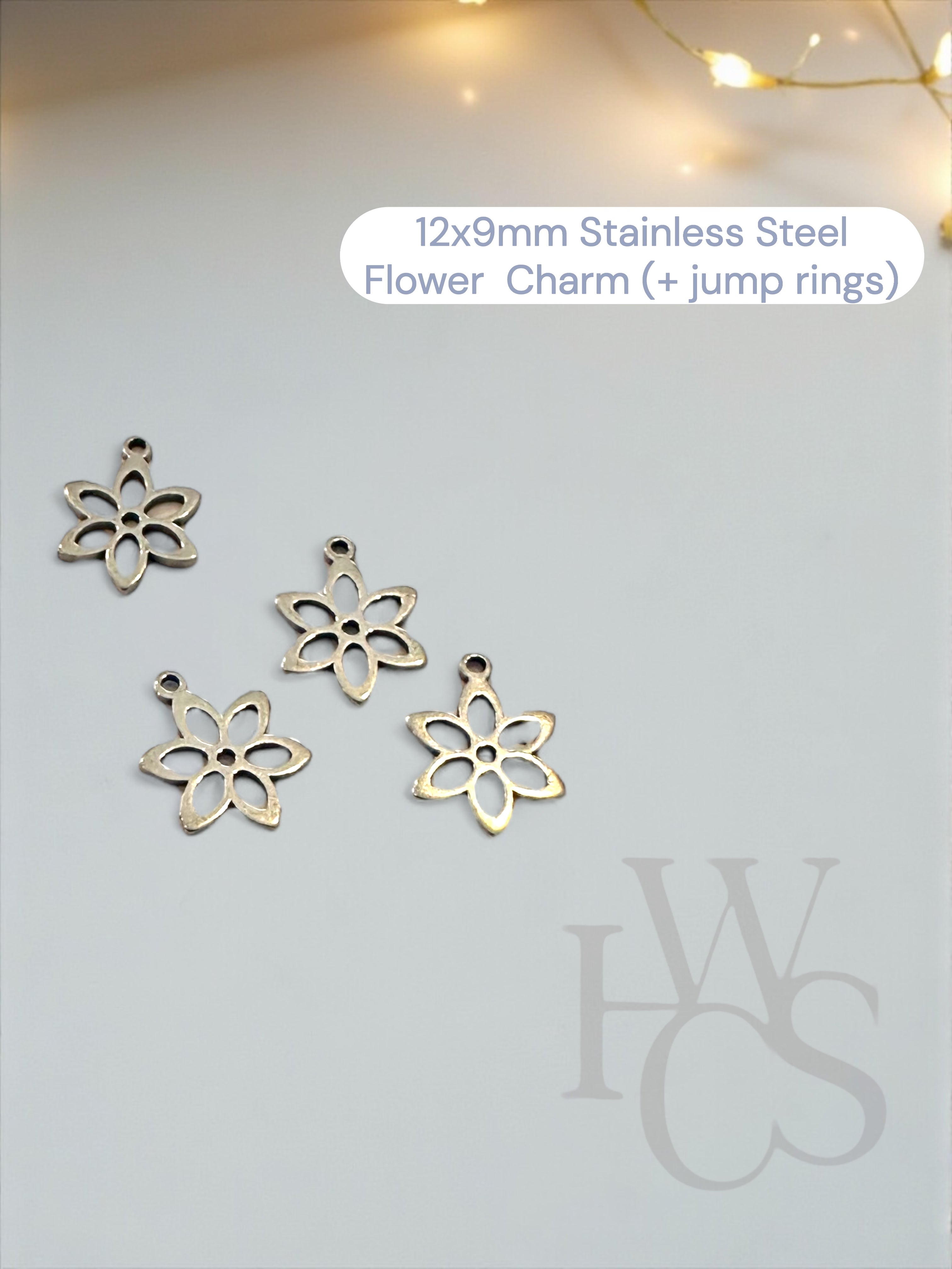 Optional Stainless Steel Charms
