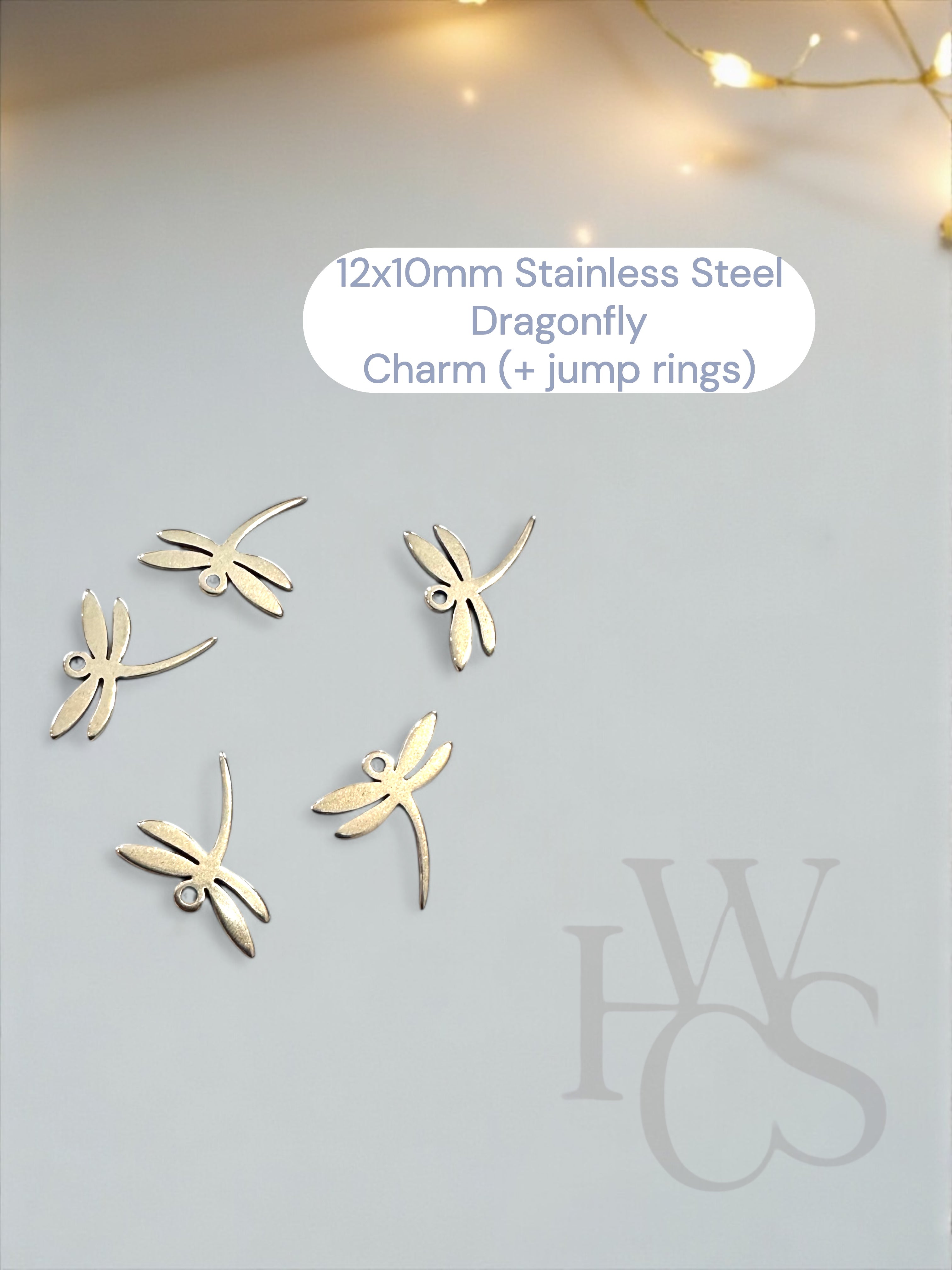 Optional Stainless Steel Charms