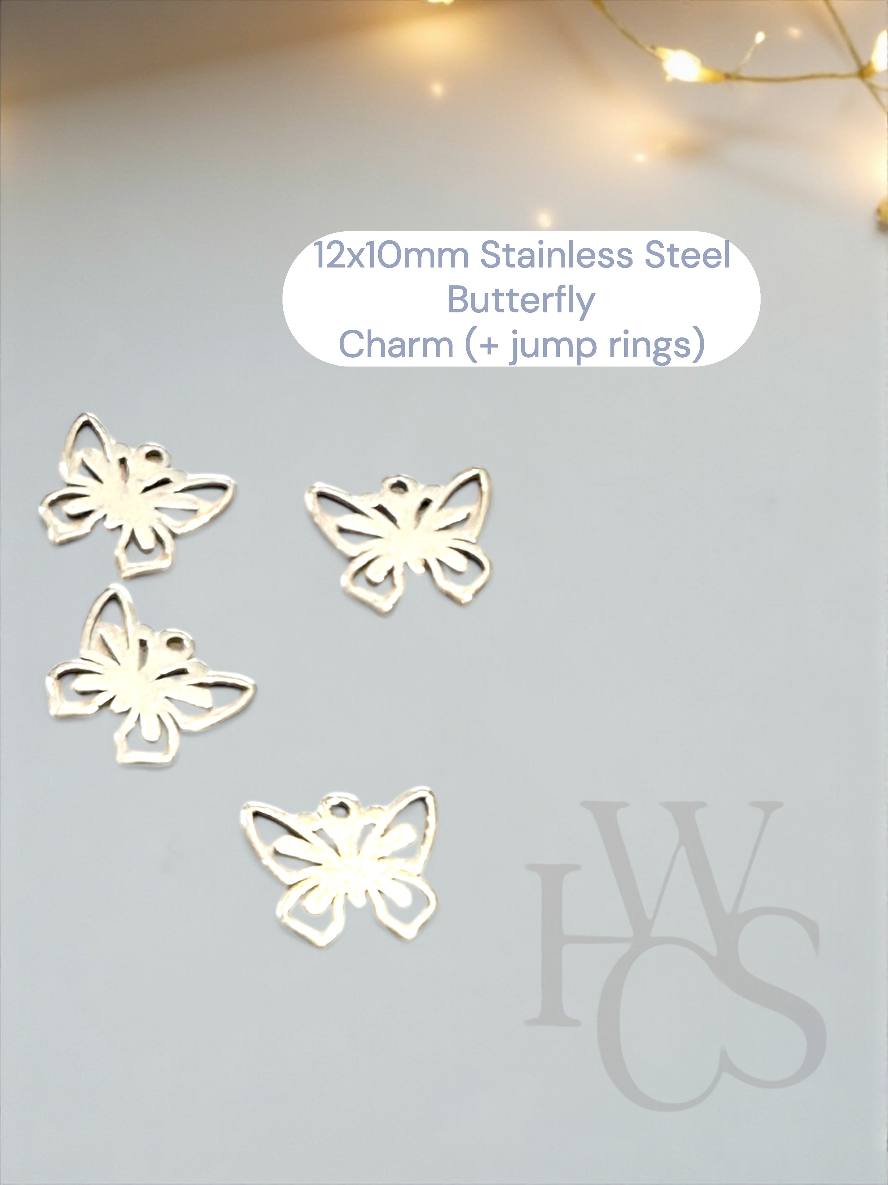 Optional Stainless Steel Charms