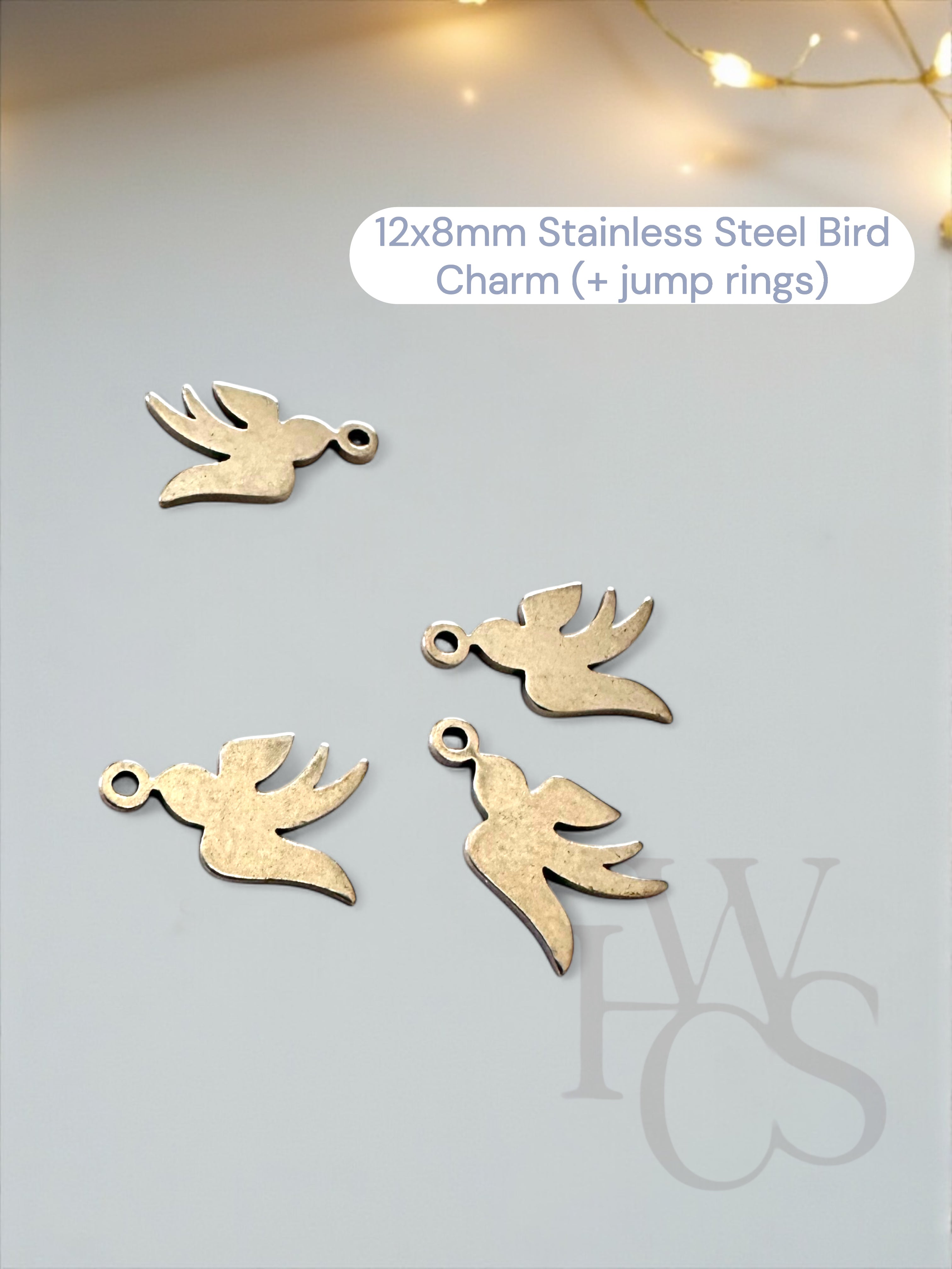 Optional Stainless Steel Charms