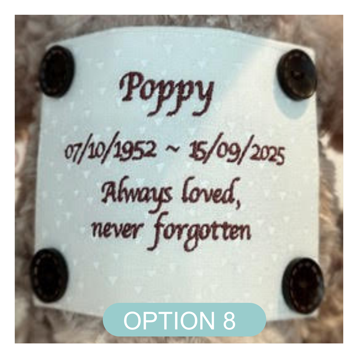 Small Keepsake Teddy Bear