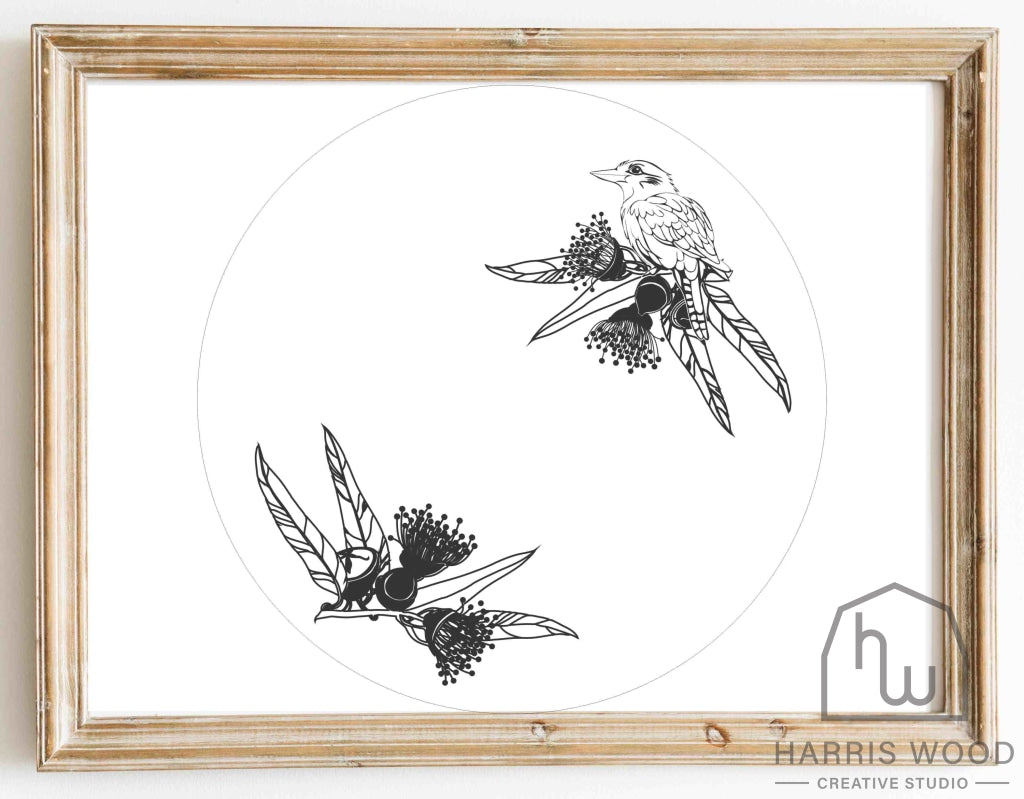 Kookaburra design - Harris Wood Creative Studio