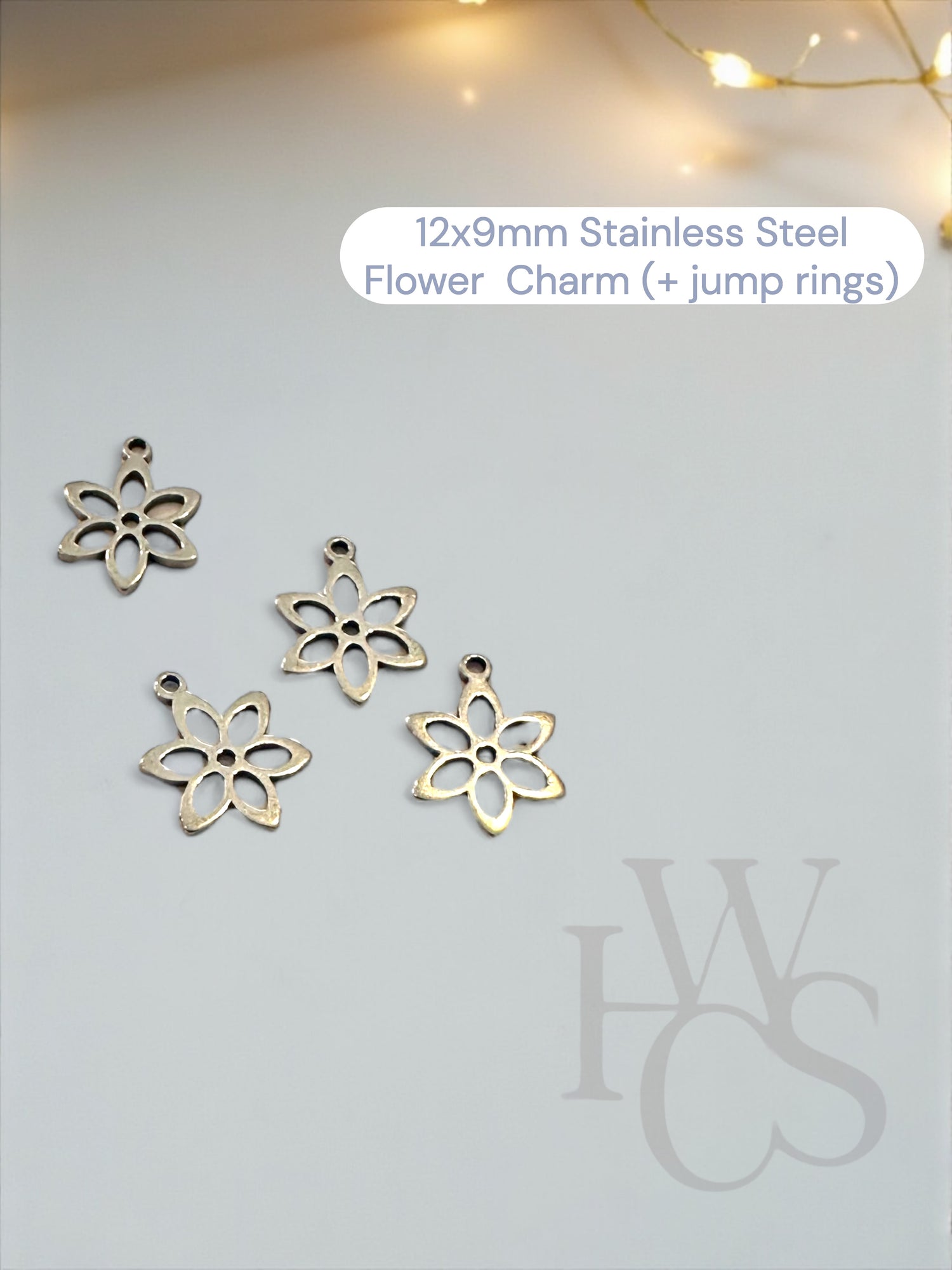 Optional Stainless Steel Charms