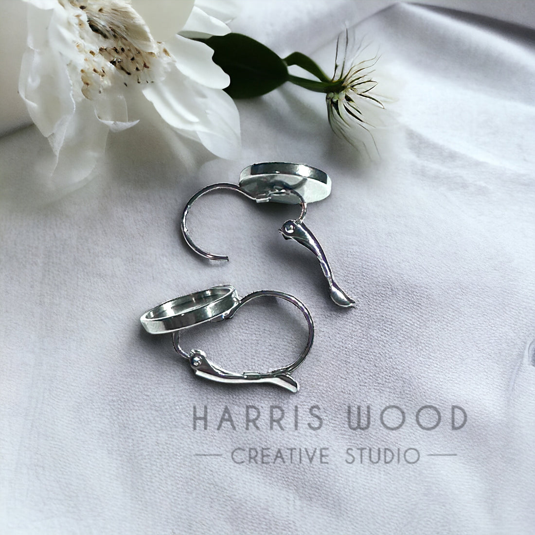 Stainless Steel Smooth Round Earrings with Dangle Catch