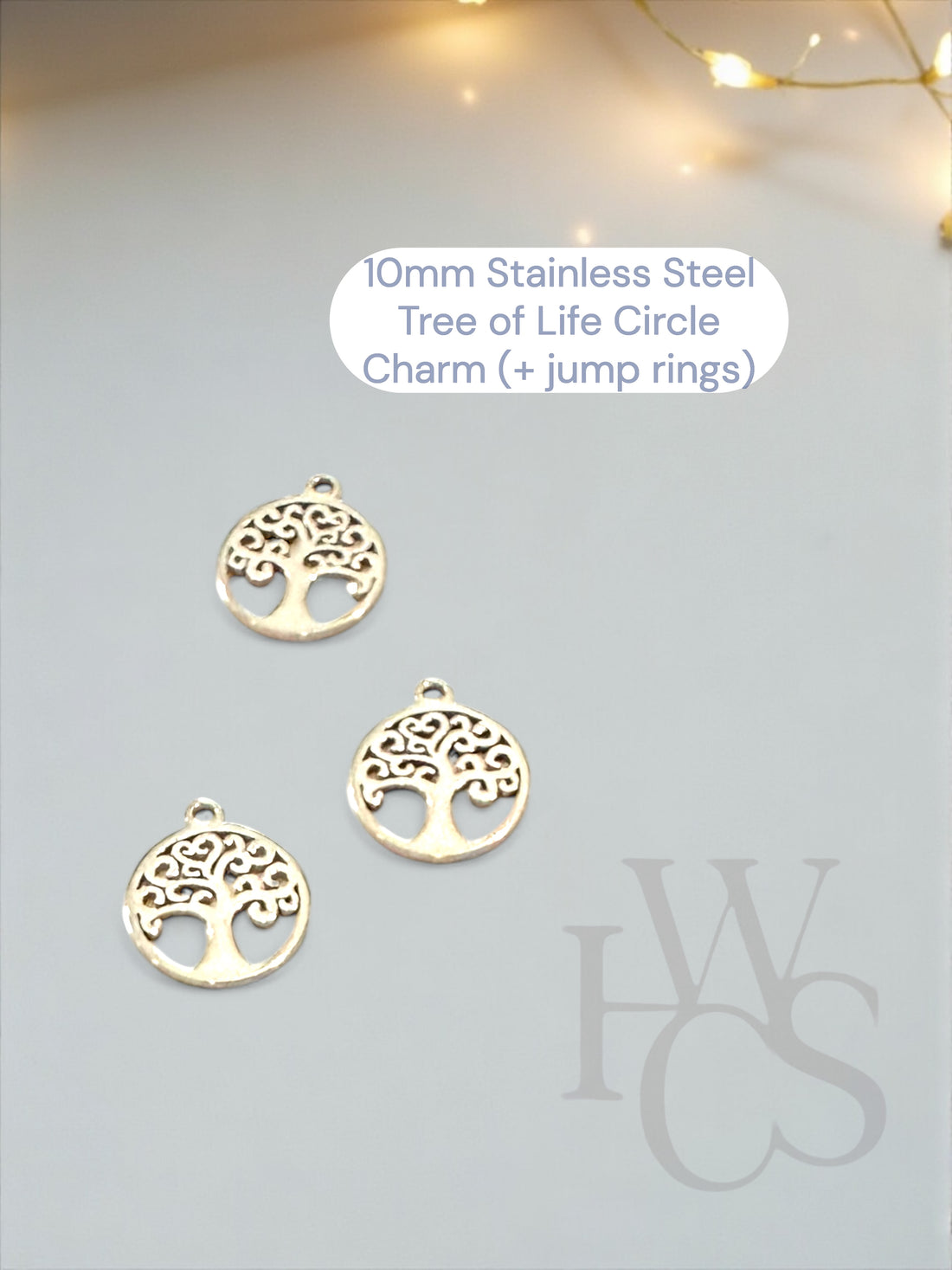 Optional Stainless Steel Charms