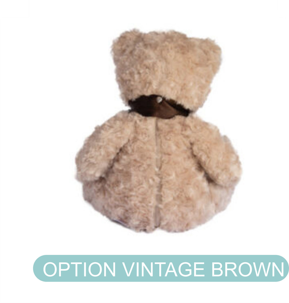 Small Keepsake Teddy Bear