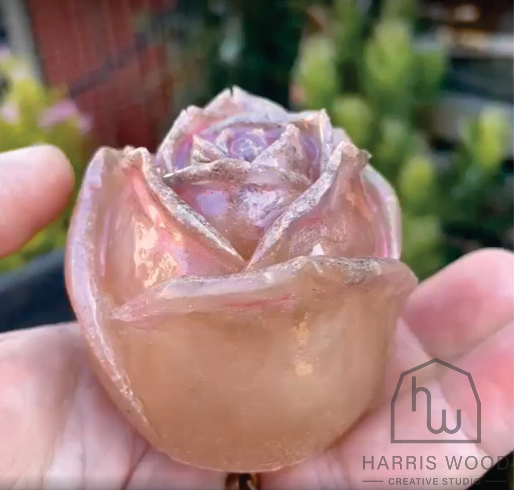Cremation Ash Rose